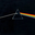 homepage-stoped.pages.dev favicon